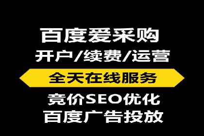 百度推广实战攻略：案例与策略
